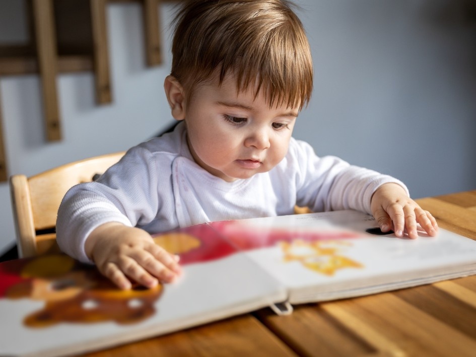 📢 Libros sin palabras