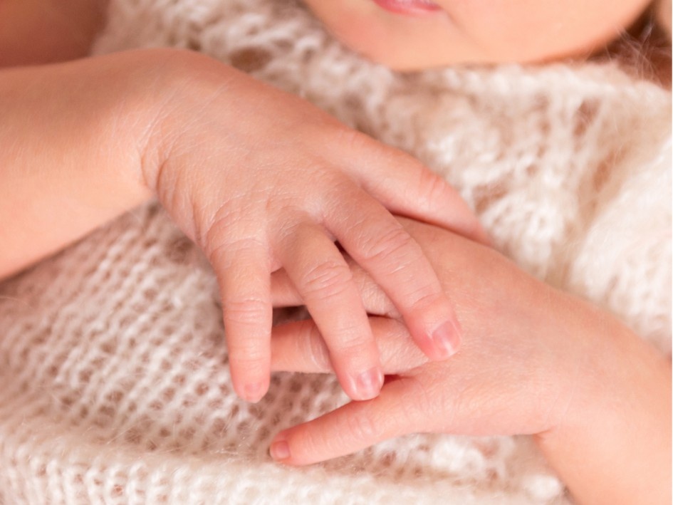 📢 Vincula palabra-gesto-objeto