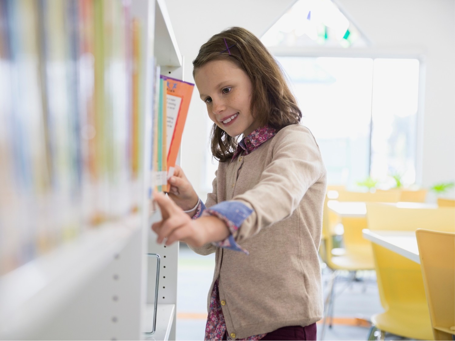 📢  Tema elegido por ti…