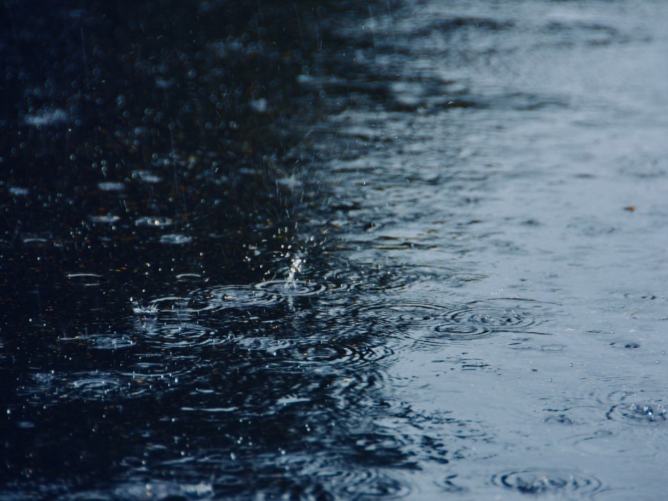 Escucha mono–tarea