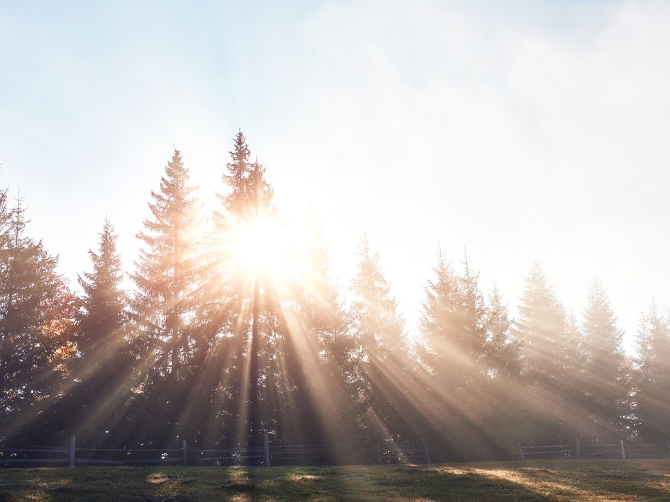 Sol suave de mañana