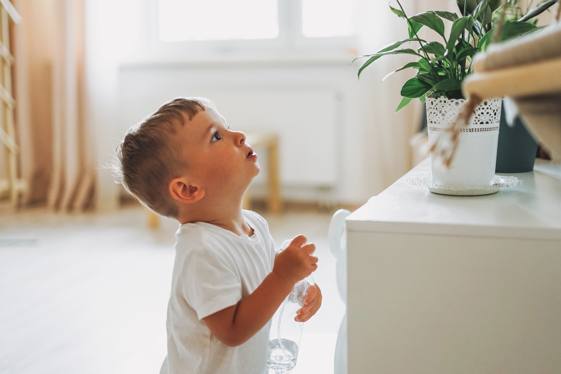 🧸 ¿Quieres buscar algo “suave” en la casa o algo “duro”?