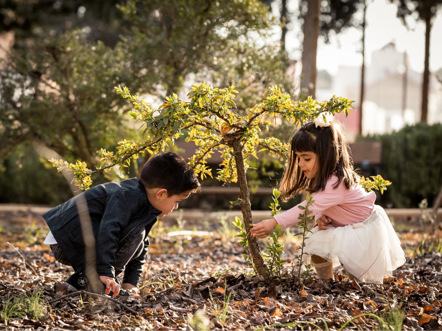 📢 Enséñale a escuchar también