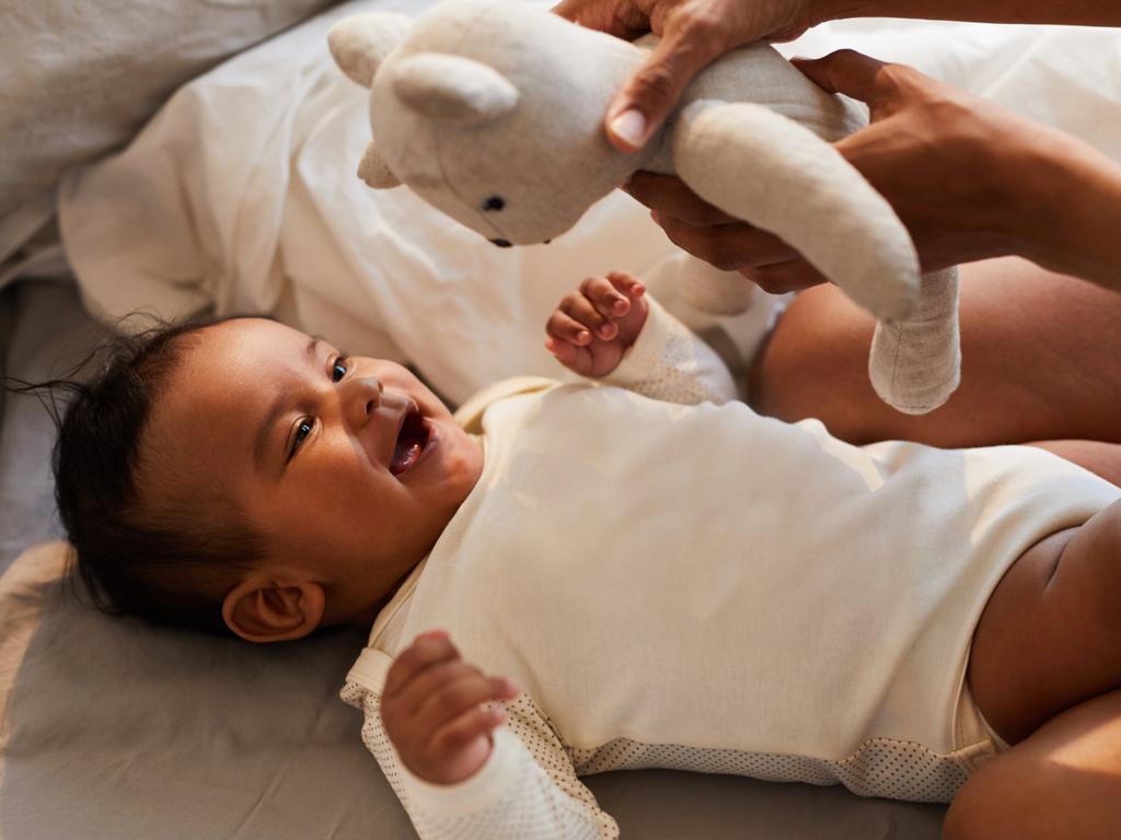 🧸💬 ¿Qué pasaría si el oso hablara?