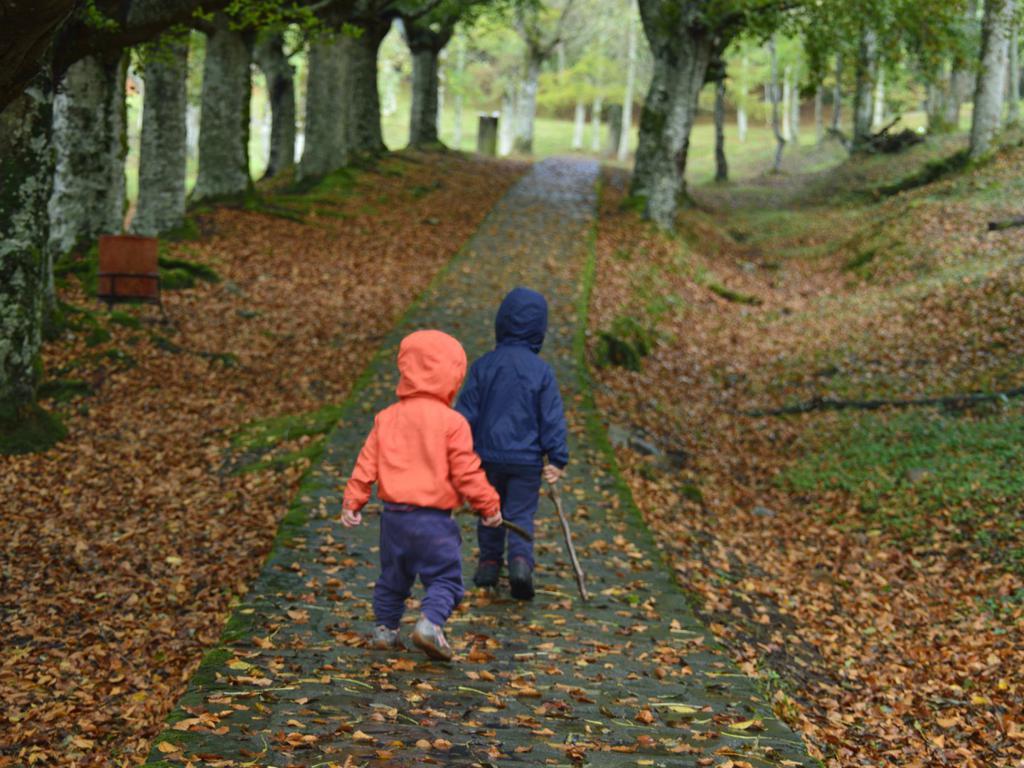🚶‍♀️ ¿Qué cosas puedes ver cuando salimos a caminar?