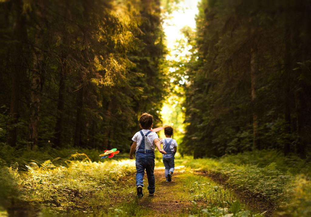 🌳 ¿Qué crees que hacen los árboles cuando nadie los mira?