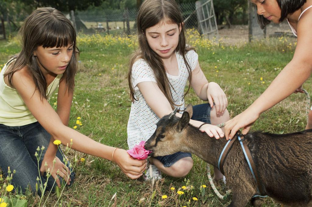 🦜 ¿Qué harías si pudieras hablar con los animales?