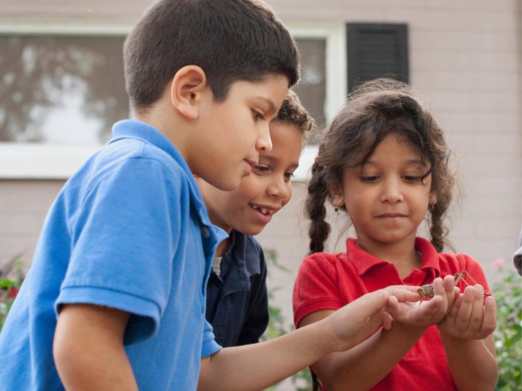 📢 Haz juegos de adivinanzas sencillas