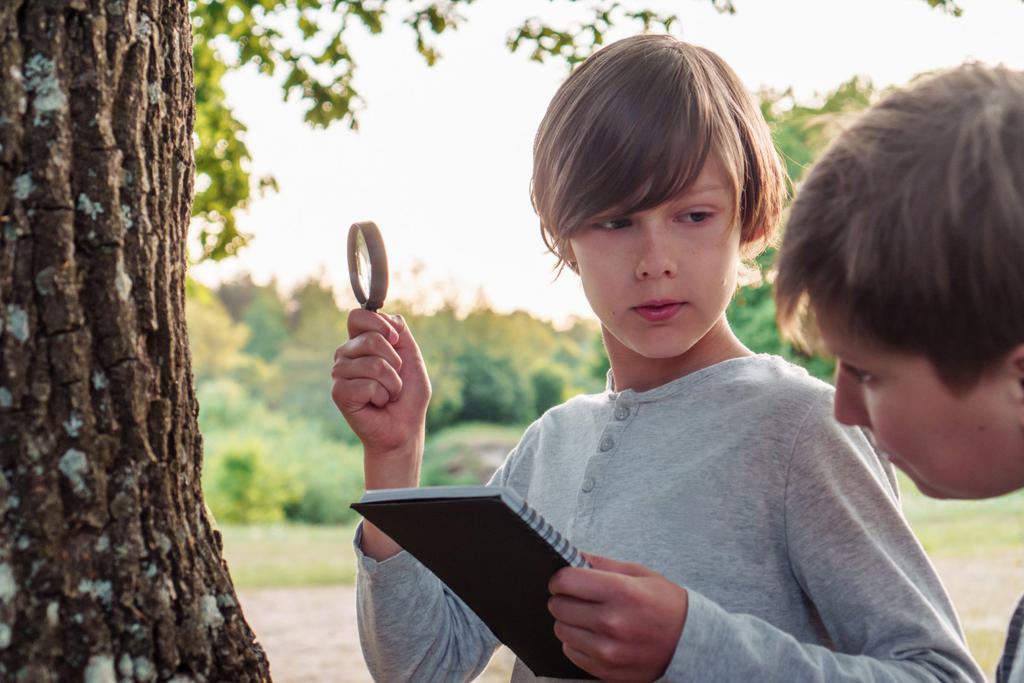 Paseo visual por un objeto cotidiano