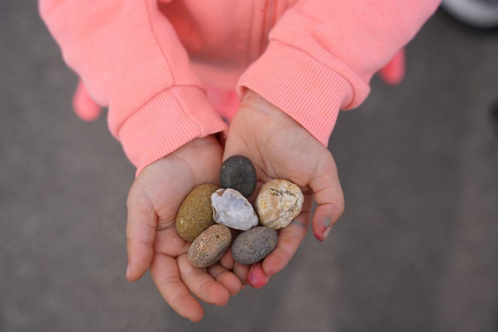 Juntar piedras y clasificarlas por sensaciones