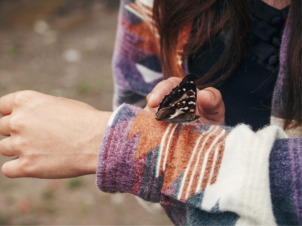 Ejercicio del abrazo de mariposa