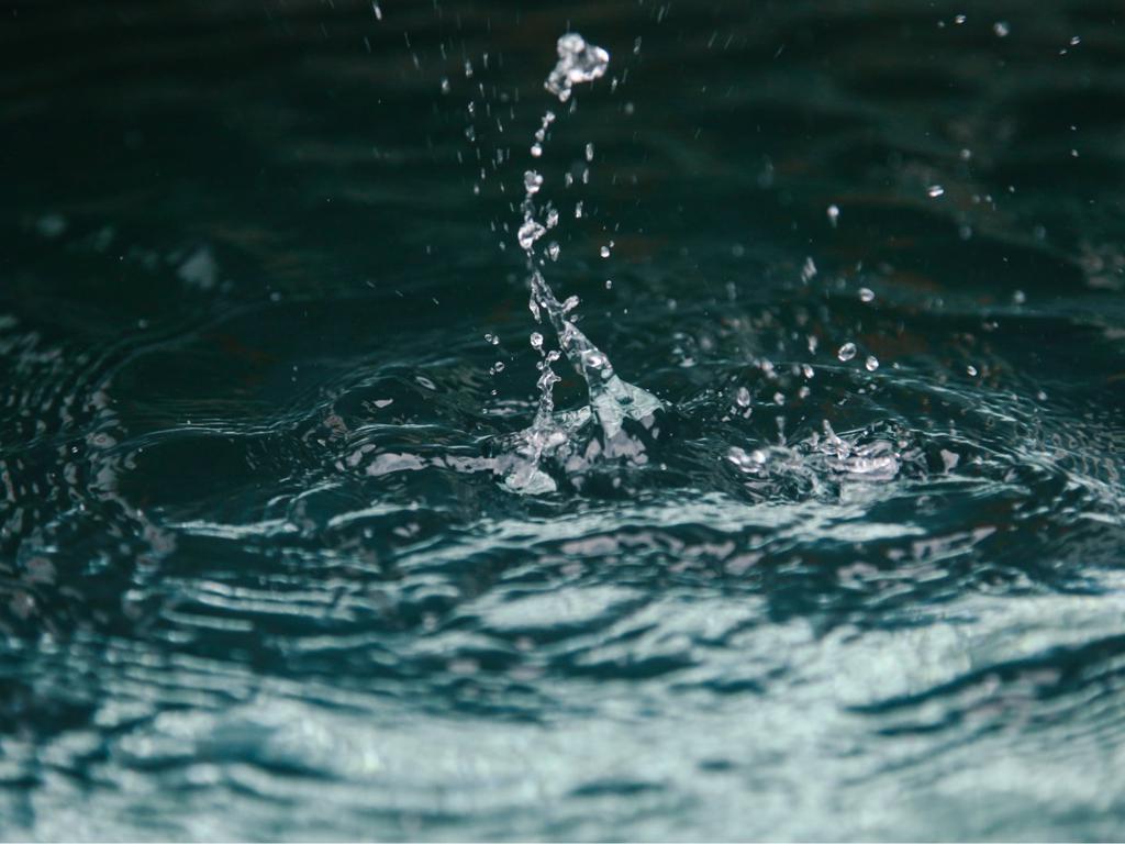 Observar el movimiento del agua